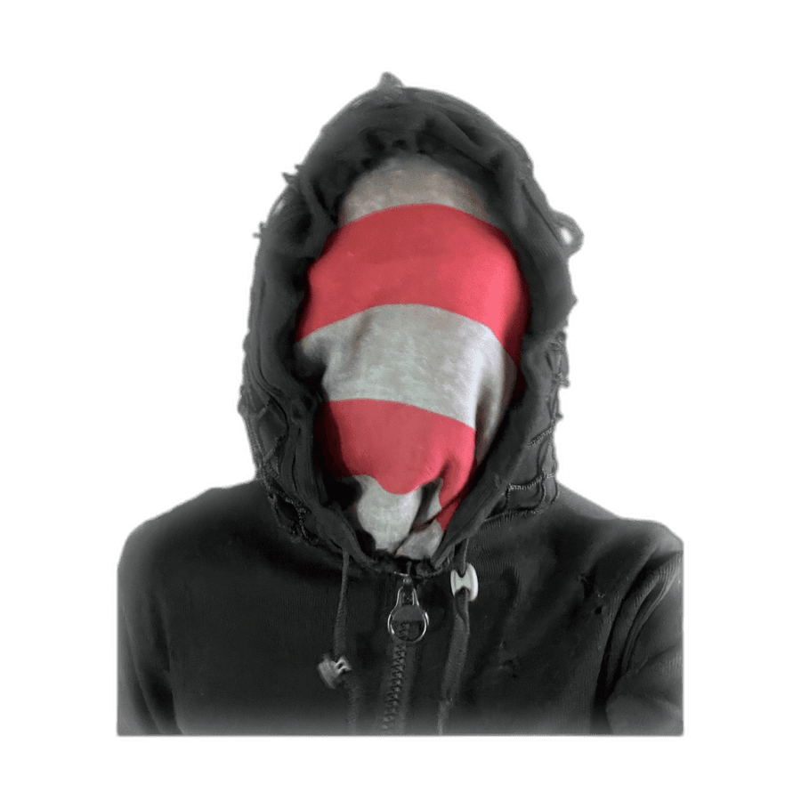 U.S. STROLLER ZIP-HOODIE photo 8